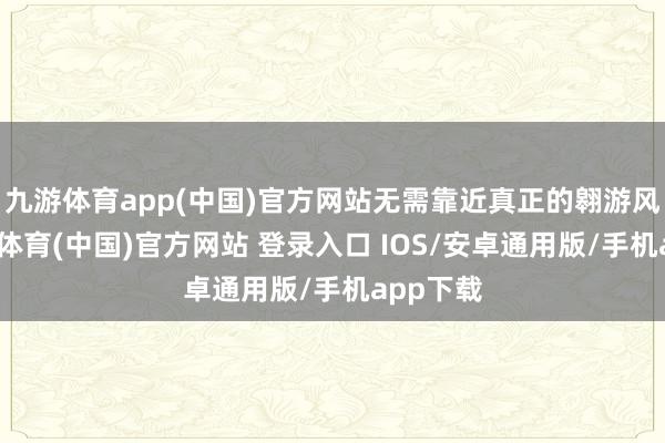 九游体育app(中国)官方网站无需靠近真正的翱游风险-九游体育(中国)官方网站 登录入口 IOS/安卓通用版/手机app下载