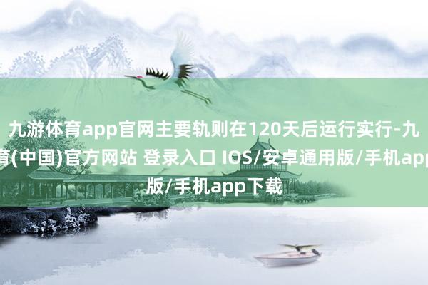 九游体育app官网主要轨则在120天后运行实行-九游体育(中国)官方网站 登录入口 IOS/安卓通用版/手机app下载
