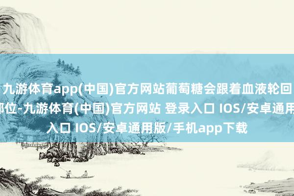 九游体育app(中国)官方网站葡萄糖会跟着血液轮回到达体魄的各个部位-九游体育(中国)官方网站 登录入口 IOS/安卓通用版/手机app下载