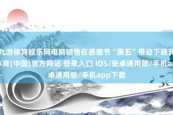 九游体育娱乐网电商销售在感德节“黑五”带动下跳升-九游体育(中国)官方网站 登录入口 IOS/安卓通用版/手机app下载