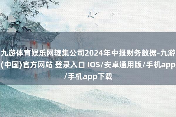 九游体育娱乐网辘集公司2024年中报财务数据-九游体育(中国)官方网站 登录入口 IOS/安卓通用版/手机app下载