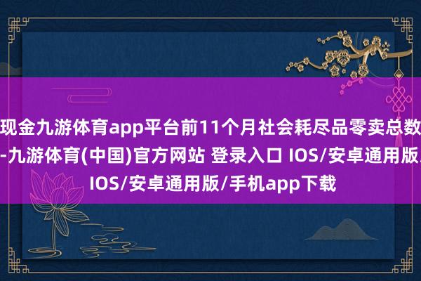 现金九游体育app平台前11个月社会耗尽品零卖总数冲破44万亿元-九游体育(中国)官方网站 登录入口 IOS/安卓通用版/手机app下载